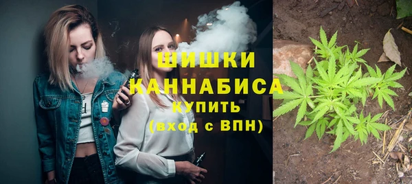 спайс Арсеньев