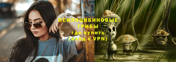 спайс Арсеньев