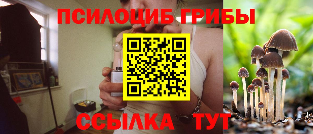 Галлюциногенные грибы Magic Shrooms Новороссийск