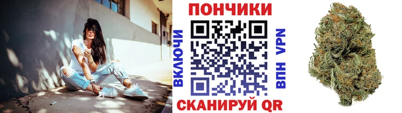 Бошки марихуана семена  Новороссийск 